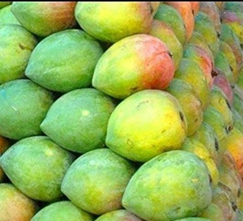 Raspuri mango image B1